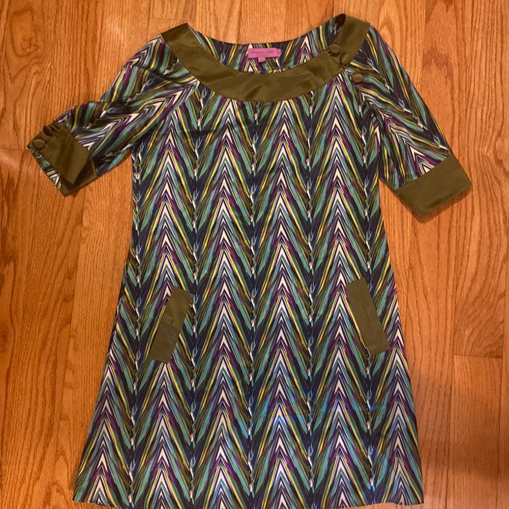 Silk Chevron style dress